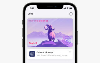 Private: Apple has tight control over states’ digital ID cards