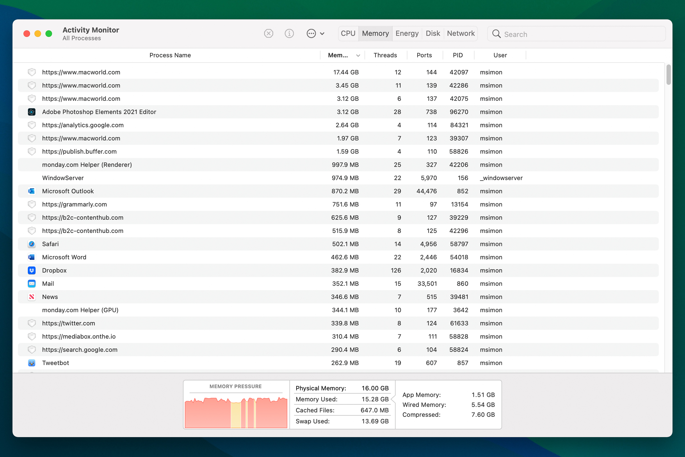 memory leaks activity monitor