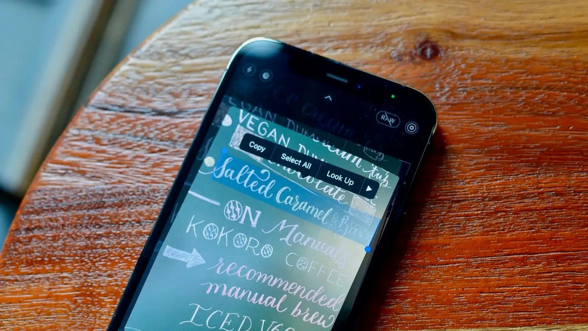How to Stop Your iPhone Camera From Recognizing Text Everywhere