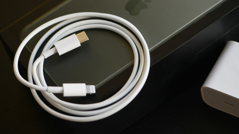 iPhone charging cable