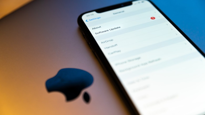 Software update option on an iPhone