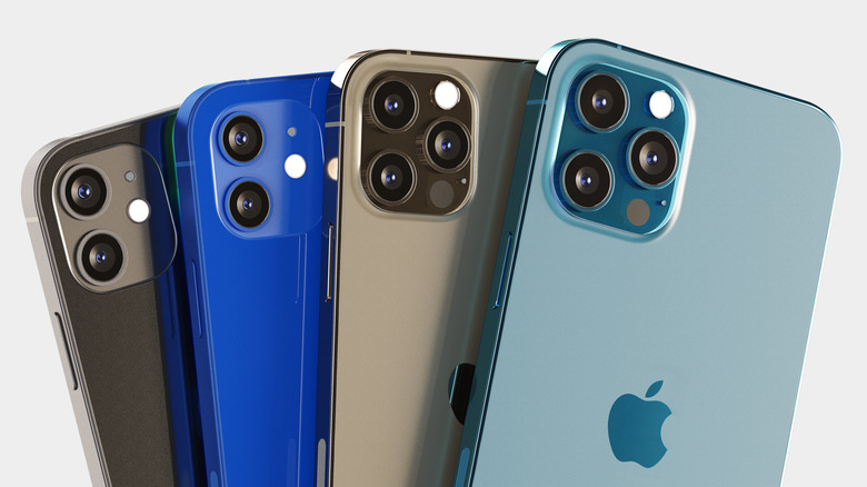 Various iPhone 12 models