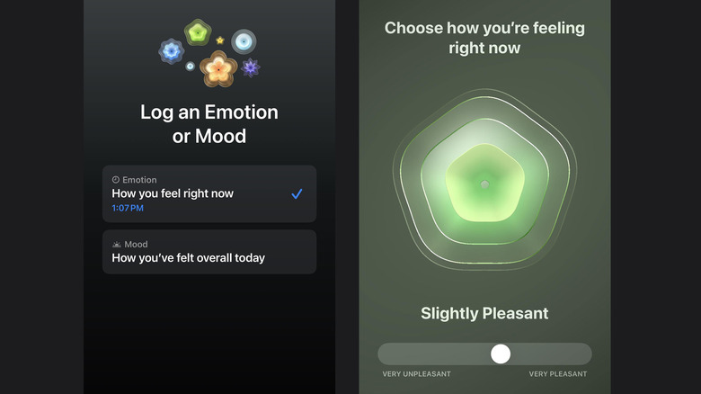 iPhone Health App Mood Tracker