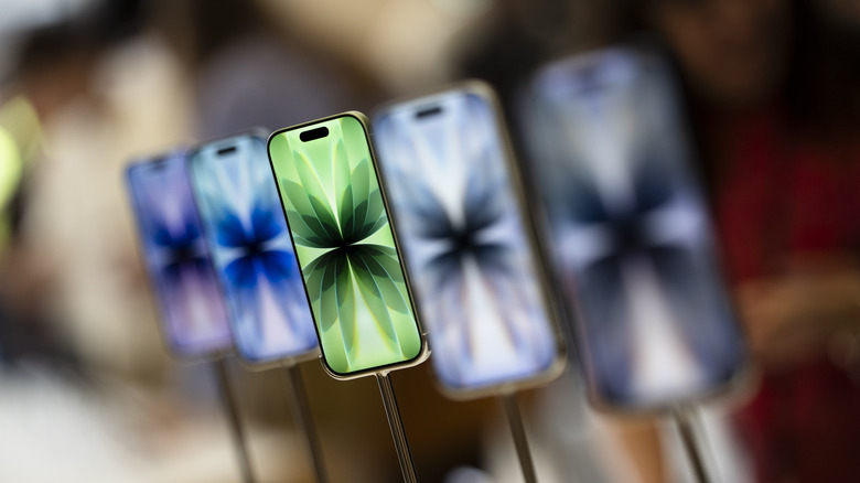 The standard iPhone 17 model on display.