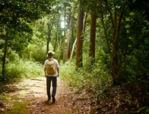 Going on a Spring Hike? Here’s How to Download a Map to Your iPhone