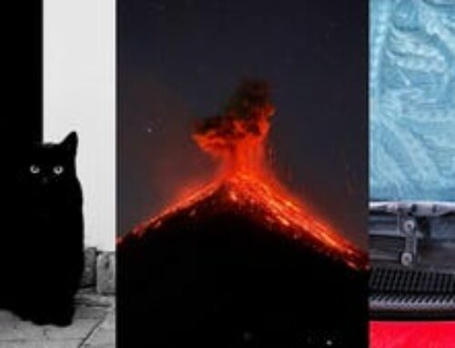 Winners of the 2026 iPhone Photography Awards Redefine the Notion of ‘iPhone Photos’
