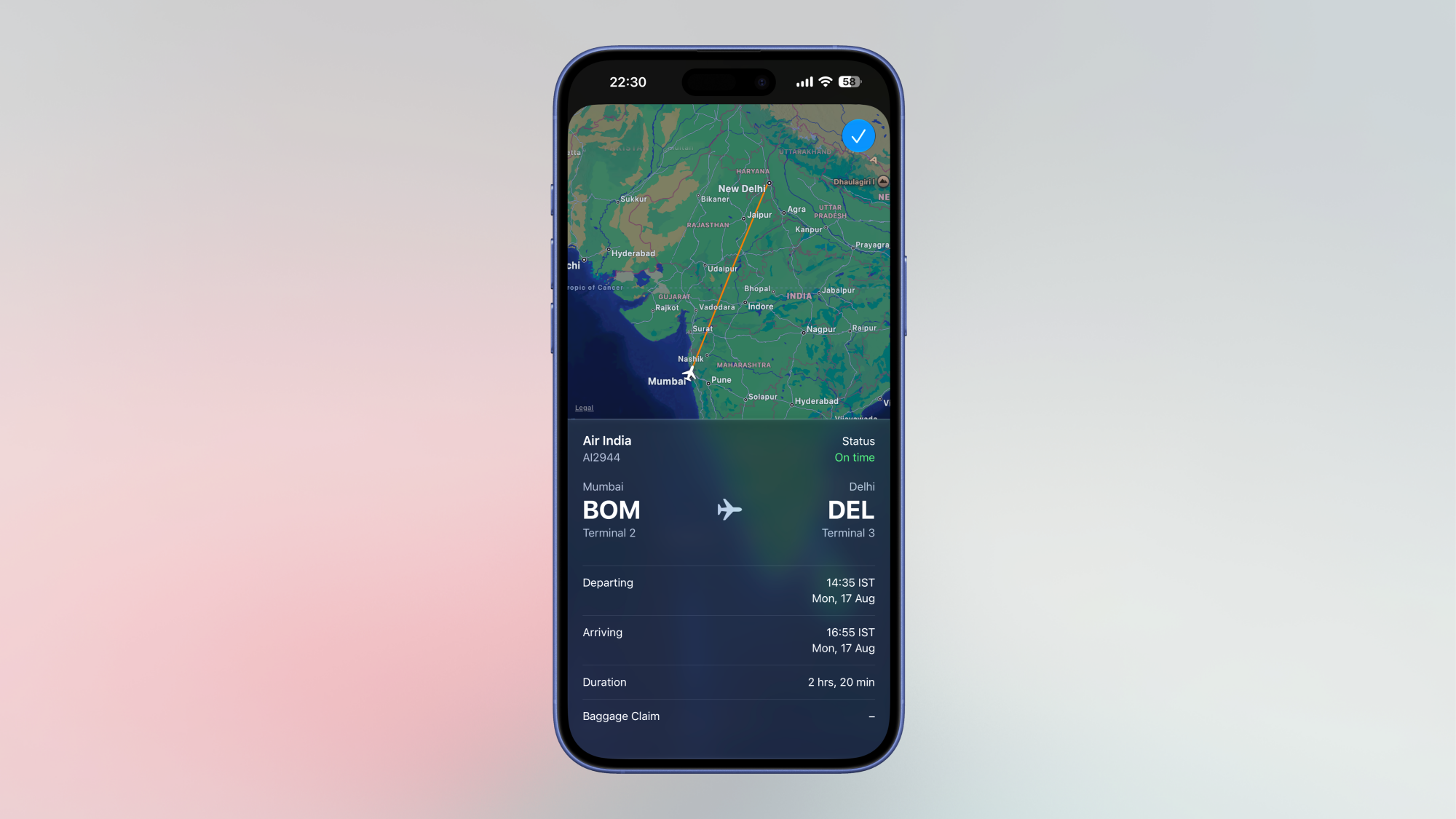 Flight status on an iPhone.