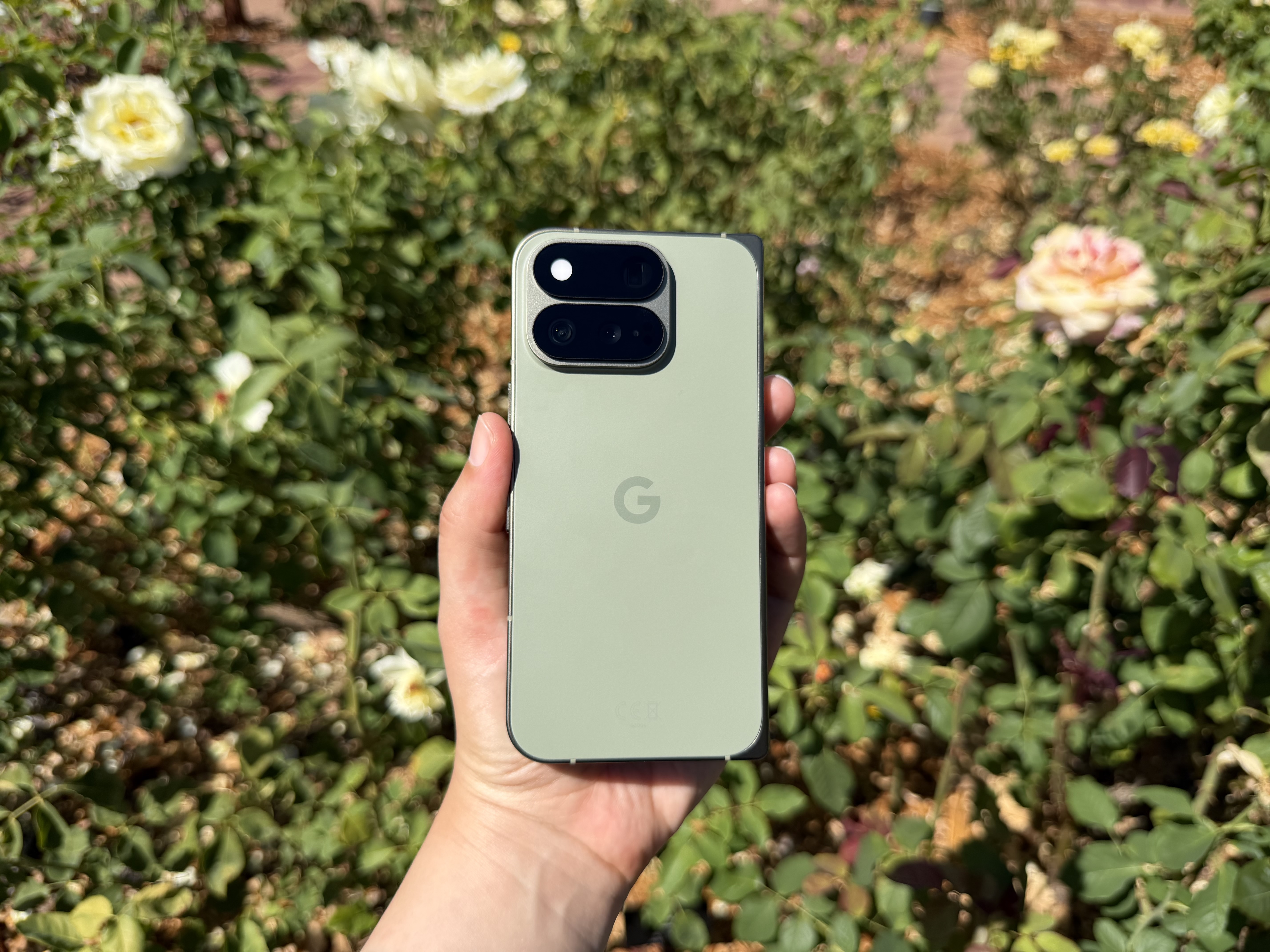 The Pixel 11 Pro Fold in olive, amid rose bushes