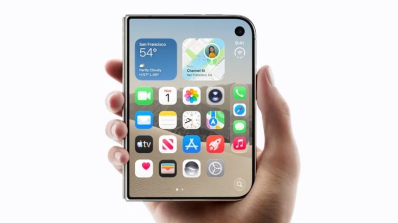 iPhone Duo in hand